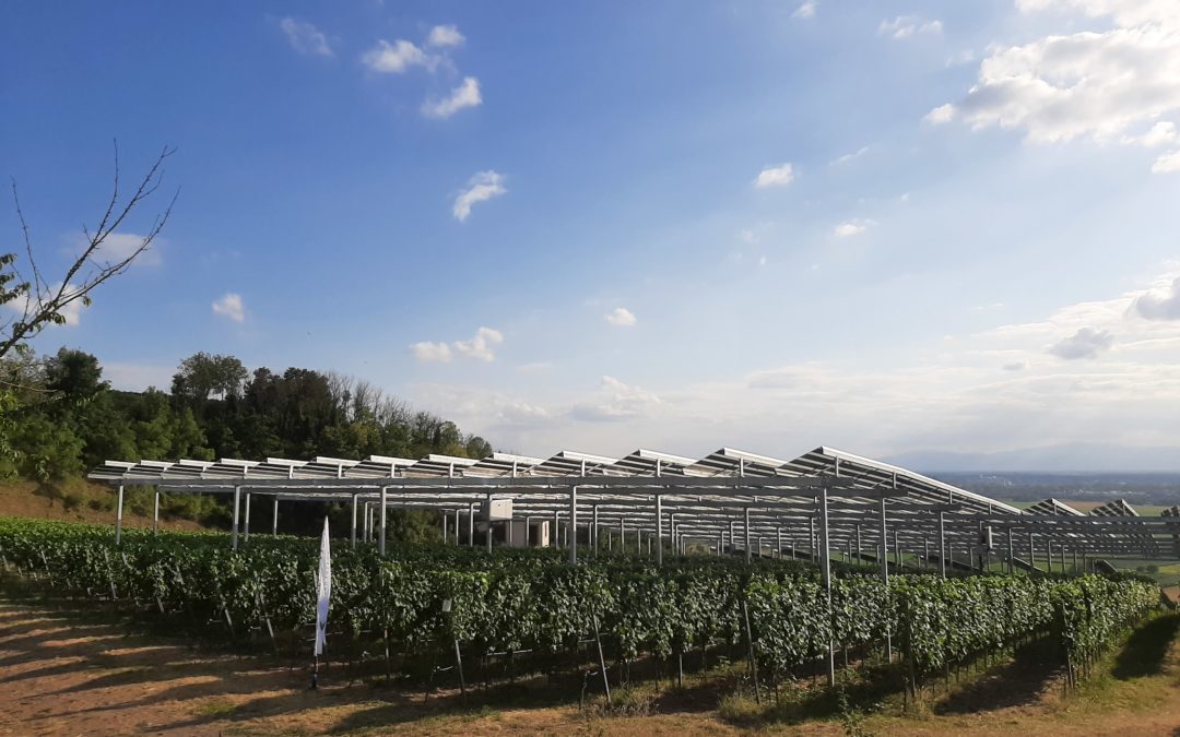 Retour sur la visite d’un site agrivoltaïque en Allemagne avec les Générateurs Grand Est